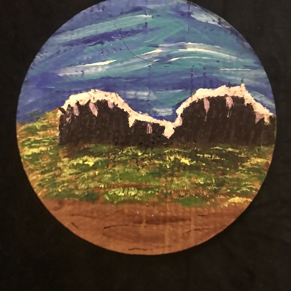 Colorful Hand Design & Hand Painted Plate - Picture 12 of 16